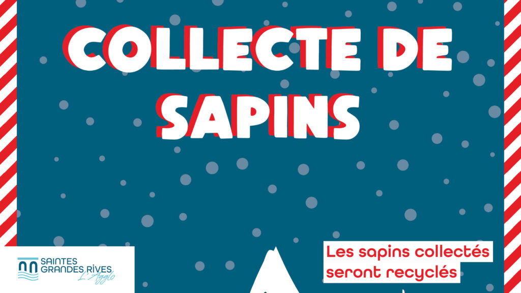 collecte sapins