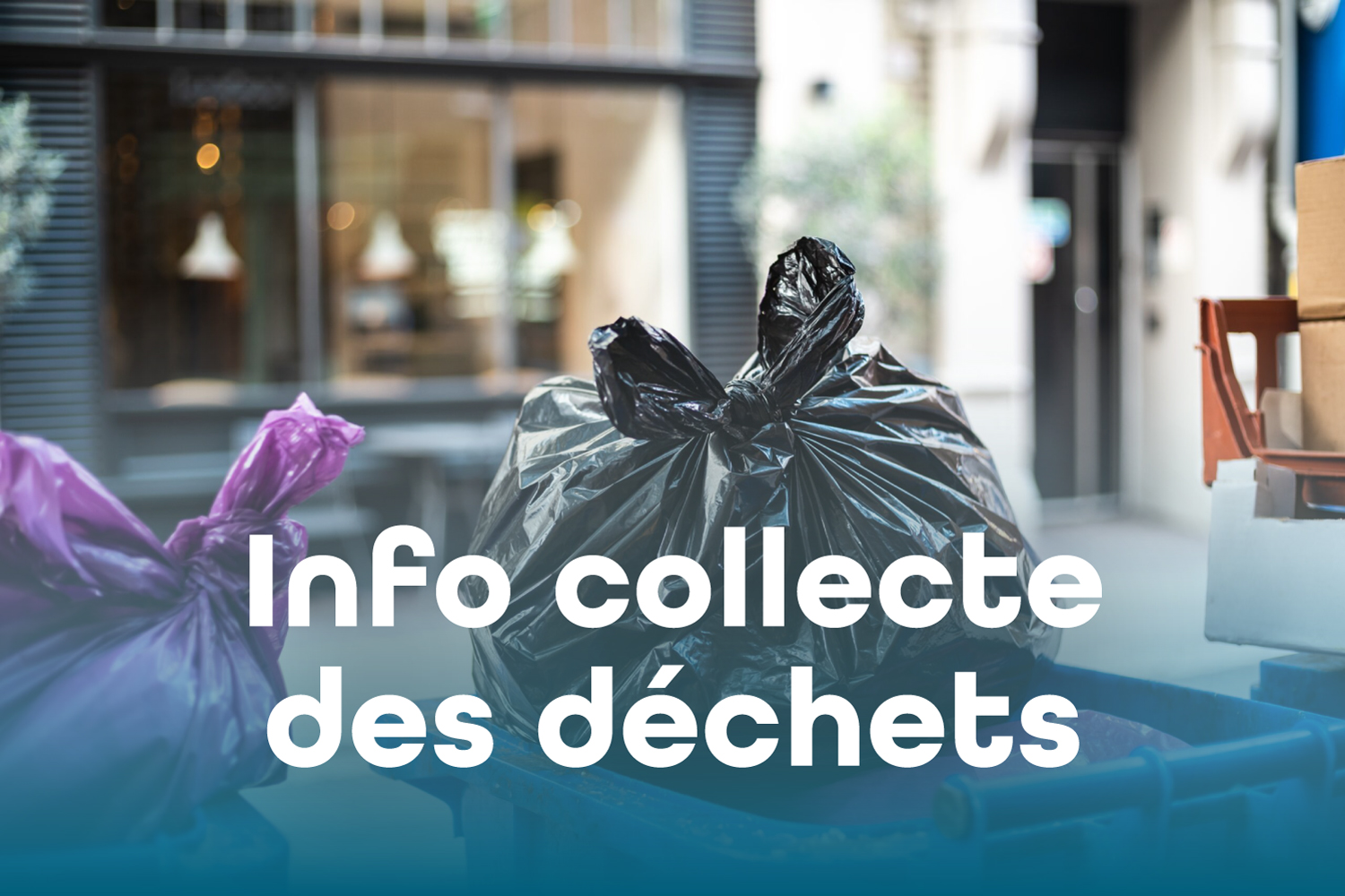 collecte déchets